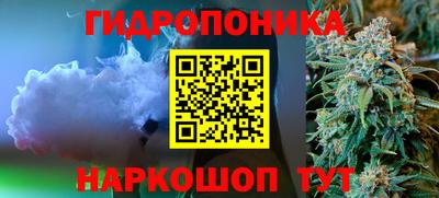 стафф Обь